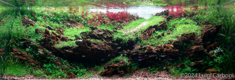Geological Heaven