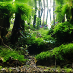 Amazon forest - Aqua Plants Hub