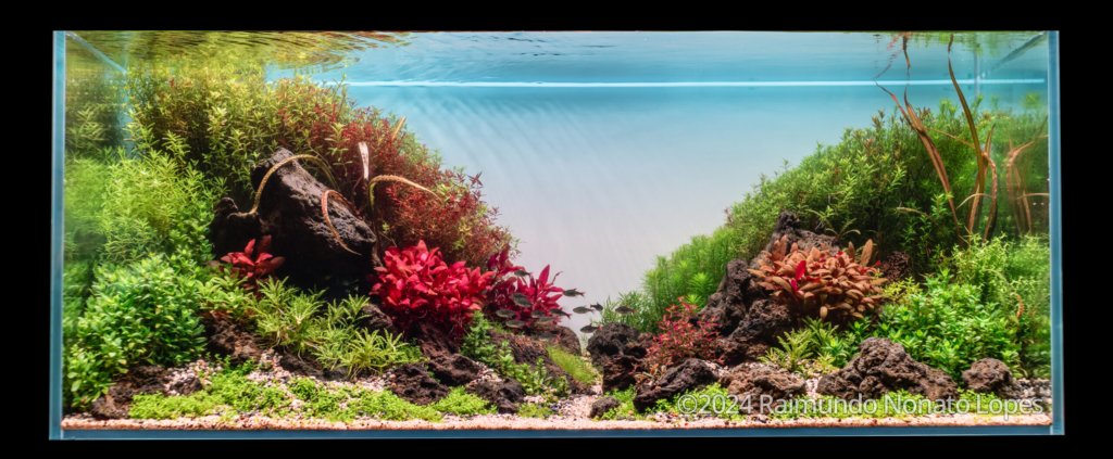 Primavera - Aqua Plants Hub