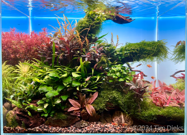 Nature garden