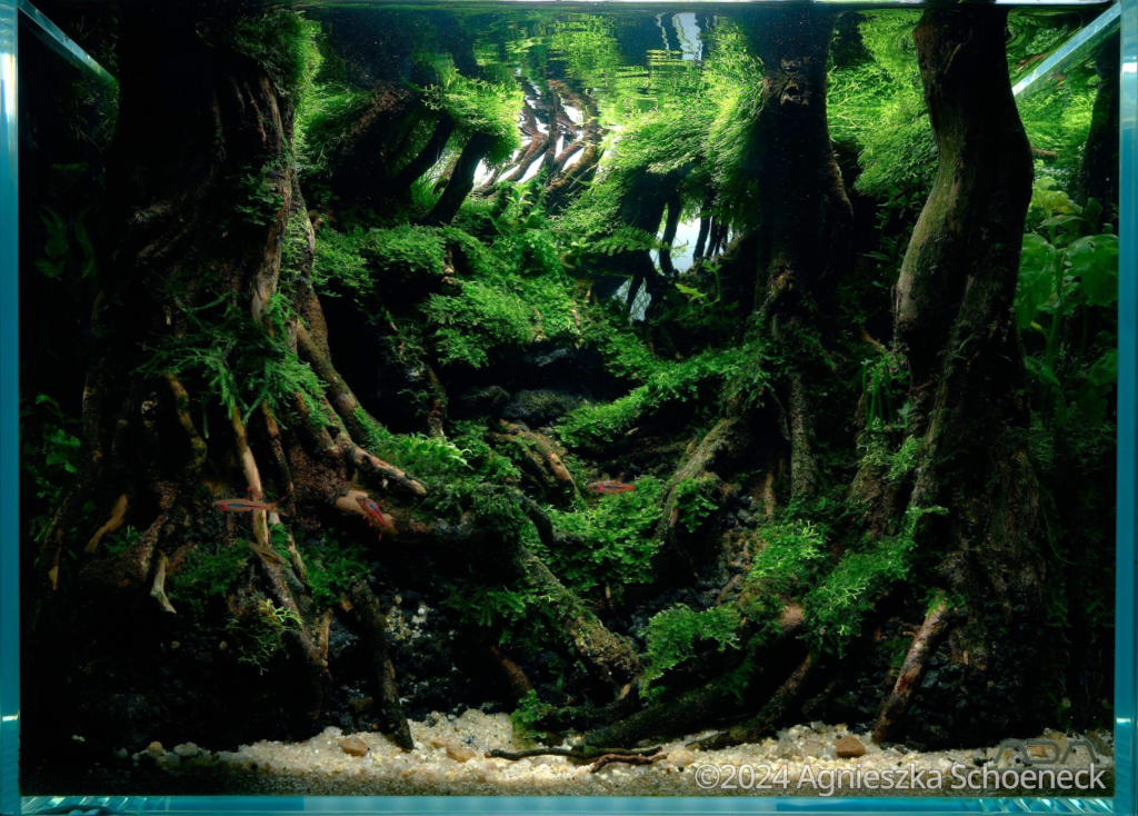 Dusk’s Embrace Over Yakushima - Aqua Plants Hub