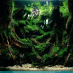 Dusk’s Embrace Over Yakushima - Aqua Plants Hub