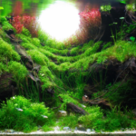 Lost Sanctuary - Aqua Plants Hub