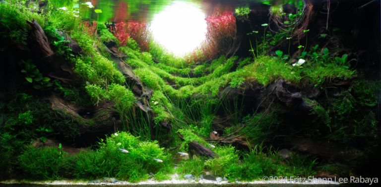 Lost Sanctuary