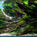 Unified Flow - Aqua Plants Hub