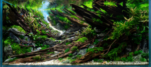 Unified Flow - Aqua Plants Hub
