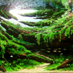 Be The Flow - Aqua Plants Hub