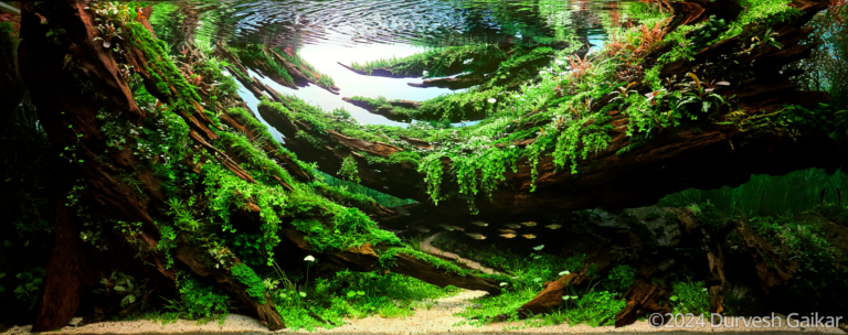 Be The Flow