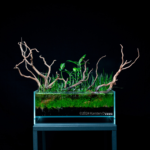 twisted - Aqua Plants Hub