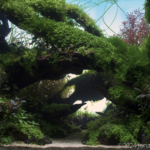 Impact - Aqua Plants Hub