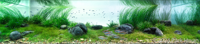 a tranquil riverside