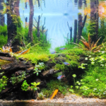 Kartajaya Forest - Aqua Plants Hub