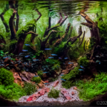 Layout 67 - Aqua Plants Hub