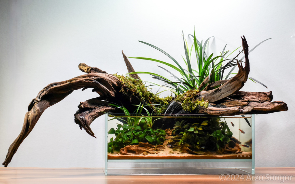 Resilient Roots - Aqua Plants Hub