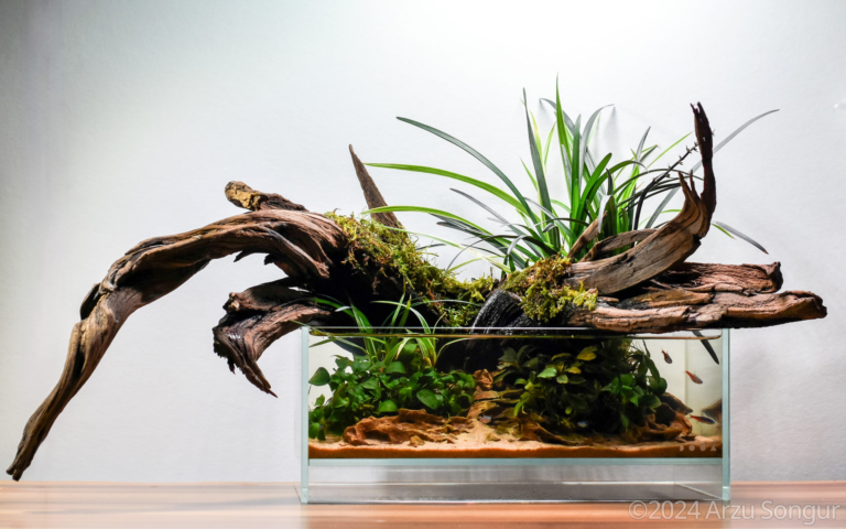Resilient Roots