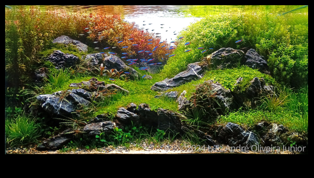 Early autumn in mountain valley - Aqua Plants Hub
