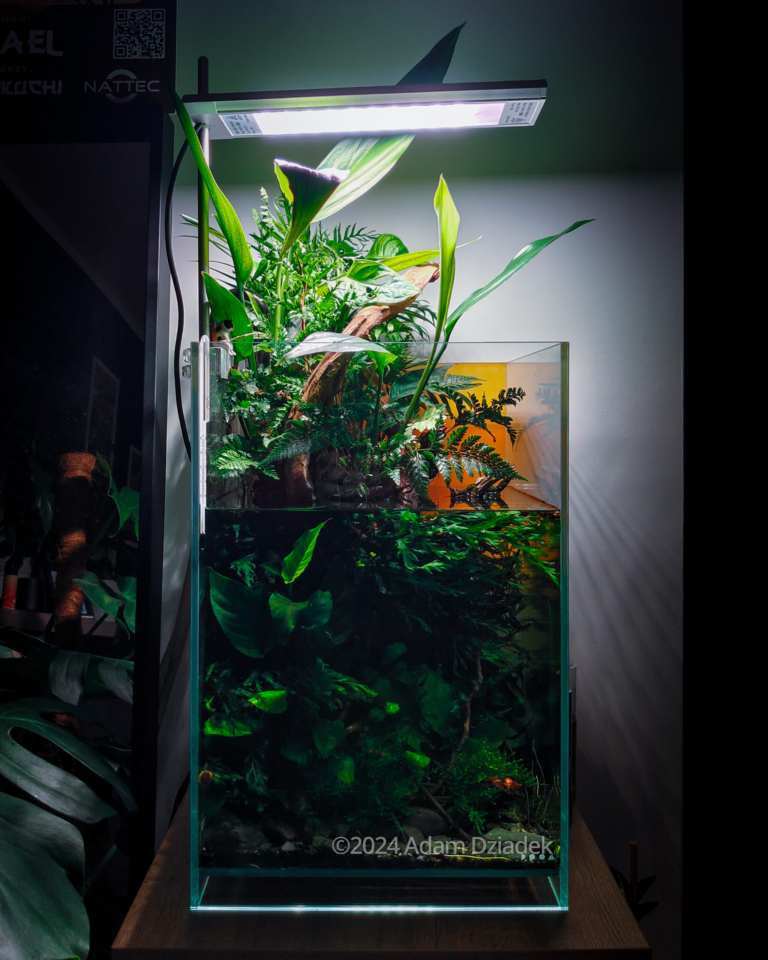 Lost world (AGA 2024 #97)