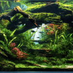 Grasping - Aqua Plants Hub