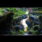 Angel Cove - Aqua Plants Hub