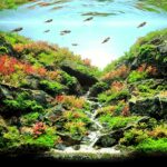 Autumn Souls - Aqua Plants Hub