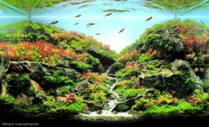 Autumn Souls - Aqua Plants Hub