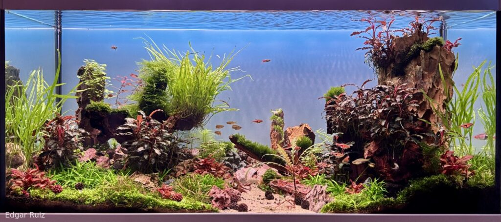 Beneath the Whispering Peaks - Aqua Plants Hub