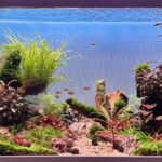 Beneath the Whispering Peaks - Aqua Plants Hub