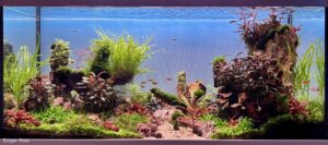 Beneath the Whispering Peaks - Aqua Plants Hub