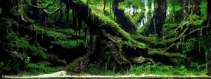 Borneo - Aqua Plants Hub