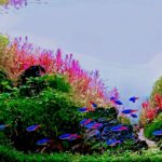 Dream underwater - Aqua Plants Hub