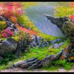 Éden - Aqua Plants Hub