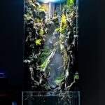 Elevate - Aqua Plants Hub