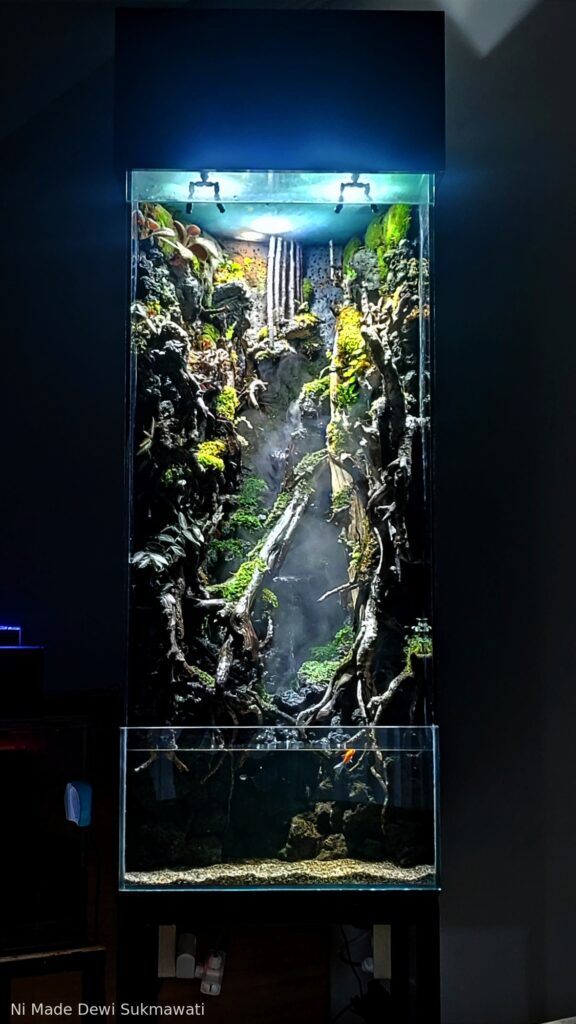 Elevate - Aqua Plants Hub
