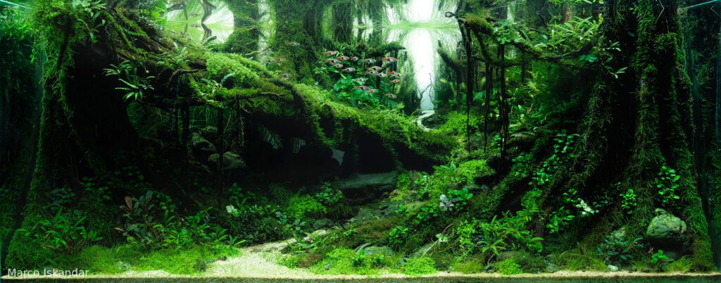 Emerald Sanctuary - Aqua Plants Hub