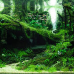 Emerald Sanctuary - Aqua Plants Hub