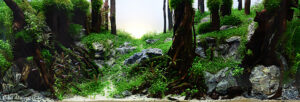Eternal - Aqua Plants Hub