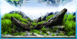 Footprints of Glaciers - Aqua Plants Hub