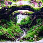 Forest Origins - Aqua Plants Hub