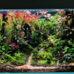 Forgotten Roots - Aqua Plants Hub