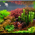 Forgotten garden of Chiveve - Aqua Plants Hub