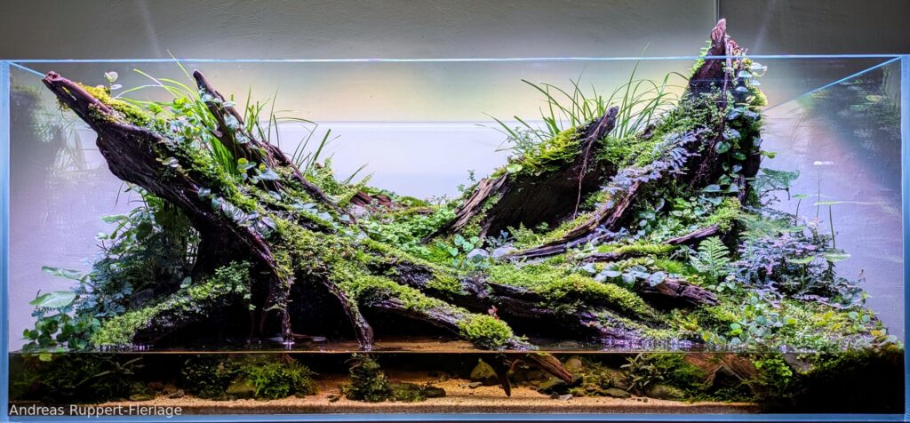 Fountain of Life - Aqua Plants Hub