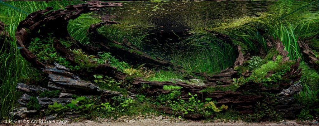 Galaxy - Aqua Plants Hub