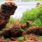 Garden of Titans - Aqua Plants Hub