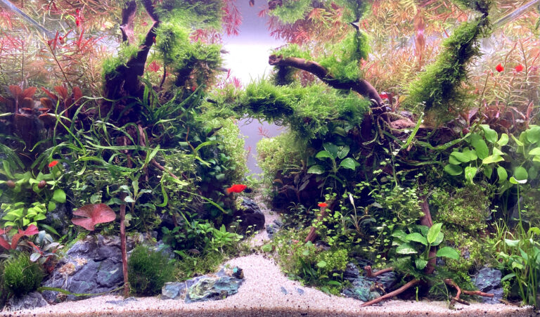 Golden Passage