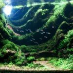 Green Haven - Aqua Plants Hub