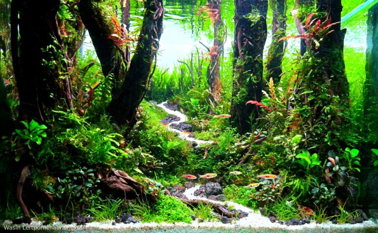 Green Path