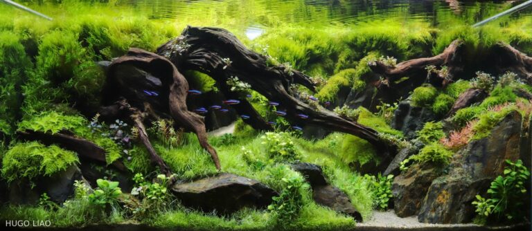 Green world