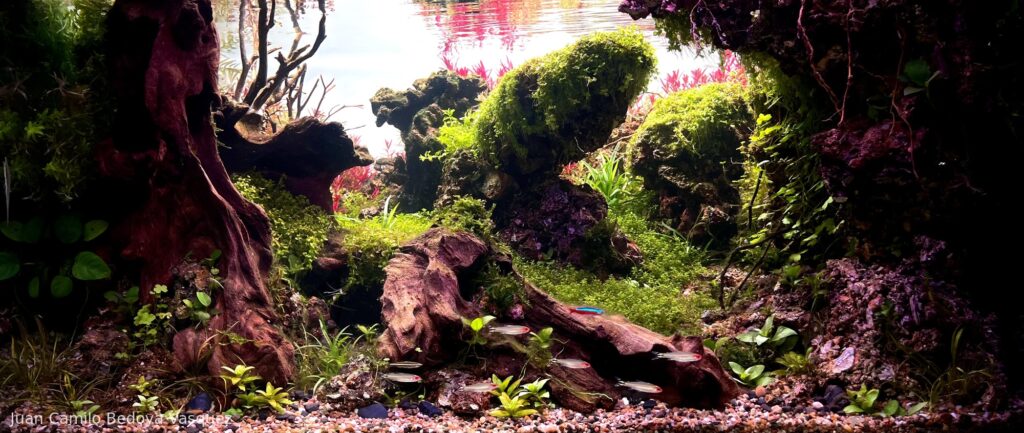 Greendale - Aqua Plants Hub