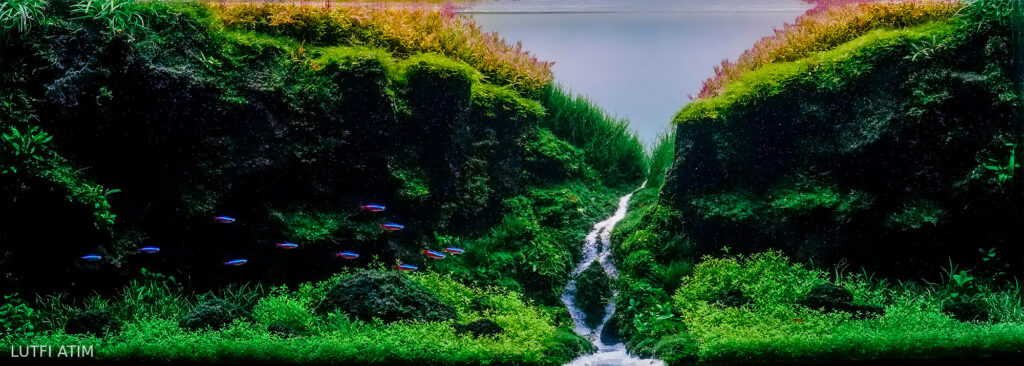 Grenjeng - Aqua Plants Hub