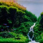Grenjeng - Aqua Plants Hub